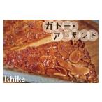 ケーキ カステラ ガトー アーモンド 一花 シフォンケーキと…