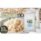 ふるさと納税 米 はえぬき 山形県 鶴岡市  令和8年産先行予約 富樫農園のはえぬき 玄米　10kg(5kg×2袋) 山形県鶴岡市産　K-853