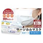 ふるさと納税 秋田県 由利本荘市 《定期便10ヶ月》国内製造 高性能サージカルマスク 普通サイズ 50枚入り×60箱 (合計3,000枚)×10回 10か月 10ヵ月 10カ月 10…