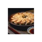 ふるさと納税 餃子 群馬県 太田市 餃子の金星の秘伝の味 特撰生餃子 × ヘルシーさっぱり 青しそ餃子 2種 80個入 タレ付 1412850