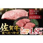 牛肉 サーロイン 6回定期便 艶さし 佐賀牛