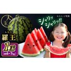 fu.... налог арбуз Nagasaki префектура запад море город арбуз предшествующий предварительный заказ :2026 год 7 месяц сверху ... рассылка ..1 шар ( примерно 6kg~7kg) ферма ...CDT007.. большой шар . подарок подарок...