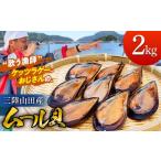 ふるさと納税 アワビ・ホタテ・他 岩手県 山田町  DayDayで紹介されました ケッツラゲーおじさんのムール貝 2kg 魚介 海鮮 冷蔵 しゅうり貝 殻付き ムール貝 …