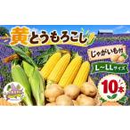とうもろこし すぐに出荷 出荷期間延長 令和8年産