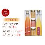 果汁飲料 りんご スパークリング 500ml×1本&りんごジュース