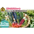 セット 詰合せ 村木さん家の旬の野菜詰め合わせ