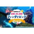 体験チケット ダイビング 島根町の海を満喫