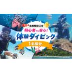体験チケット ダイビング 松江で海中散歩