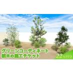 イベントやチケット等 植木の施工チケット