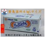 ふるさと納税 果物類 みかん 静岡県 - 三ヶ日みかん（青島温州）4kg 2026年1月以降順次発送