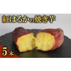野菜類 サツマイモ 紅はるか 冷やし 焼き芋 5本