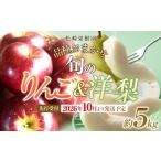 ふるさと納税 りんご 宮城県 角田市  2026年発送／先行予約 品種おまかせ 旬のりんごと洋梨詰合せ 約5kg 松崎果樹園
