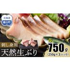 ふるさと納税 旬の鮮魚等 北海道 羅臼町 2026年12月発送 北海道 知床羅臼産 天然ぶり刺身 750g（250g ×3パック） 魚 海産物 魚介 魚介類 ブリ 鰤 刺身 ご飯…