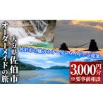 体験チケット オリジナルオーダーメイドの旅 3000円分