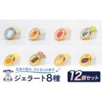 アイス ヨーグルト ジェラート 12個セット 8種
