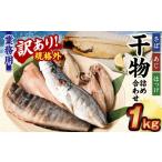 ふるさと納税 干物 サバ 茨城県 神栖市 訳あり規格外 業務用 干物詰め合わせ 1kg 3種 セット さば 鯖 縞ほっけ ほっけ あじ 鯵 魚
