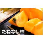果物類 柿 タネなし脱渋甘柿 刀根早生 2Lサイズ32個入7.5kg…
