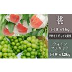 ふるさと納税 もも 山梨県 甲州市  定期便 甲州市プレミアムセレクション 厳選フルーツ定期便 桃約1kg シャインマスカット約1.2kg 2026年発送 （SHP）C-475 桃…