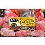 牛肉 宮崎牛定期便 10ヶ月 宮崎牛 A5 10ヶ月定期便