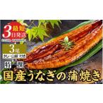 ふるさと納税 うなぎ 茨城県 土浦市 特選　国産うなぎ蒲焼き 3尾（120g以上×3尾） | メディアに紹介されたうなぎ屋 国産 冷蔵 うなぎ 鰻 ウナギ タレ・山椒つ…