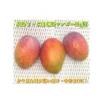 ふるさと納税 マンゴー 沖縄県 石垣市  先行予約 石垣島産 《訳あり・ご自宅用マンゴー》 約1kg エコ箱入り (2〜4個入り) 2026年7月中旬以降発送 | マンゴー …