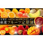 果物の詰合せ 青果店厳選 くだもの定期便Vol.1