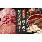 ふるさと納税 惣菜・レトルト 冷凍 鹿児島県 志布志市 定期便全6回 鰻と肉の贅沢定期便 鰻とお肉が交互に届くお楽しみ便 定期便 牛肉 ステーキ 鰻 豚肉 t0101…