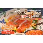 ふるさと納税 魚貝類 サーモン 長野県 山ノ内町 トロリとろける信州サーモン350g〜400g(虹鱒×ブラウントラウト)と虹鱒イクラ醤油漬け150g