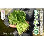 ほうれん草 約3kg