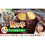 野菜類 サツマイモ 全3回定期便 孝行芋 焼き芋 6袋