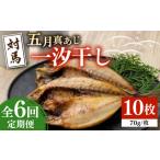 干物 アジ 全6回定期便 対馬 五月 真あじ 一汐干し 10枚