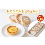 焼菓子 チョコレート レモンタルト5個詰め合わせ