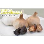 野菜類 九十九里ファームこだわり黒にんにく~あおい海