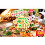 体験チケット 野菜収穫 ピザづくり体験チケット