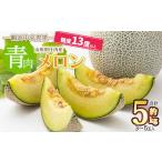 ふるさと納税 メロン 山形県 鶴岡市 令和7年産 庄内産メロン 青肉 3〜5玉 約5kg 糖度13度以上 鶴岡中央青果
