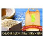 ふるさと納税 玄米 岩