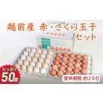 fu.... налог яйцо ( курица,.. курица и т.п. ) Fukui префектура Echizen город доставка день указание возможно Echizen производство красный шар .* Sakura шар . комплект 50 штук входит (45 шт + трещина возмещение 5 штук входит ) рефрижератор * яйцо 