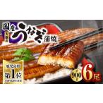 ショッピングうなぎ 国産 ふるさと納税 鹿児島県 鹿屋市 2181 【土用の丑の日対応6／30入金まで】鹿児島県大隅産うなぎ蒲焼6尾（900g）国産本格うなぎ鰻蒲焼鹿児島 【6尾】数量限定・期…