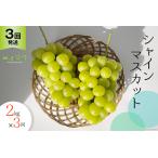 ぶどう マスカット シャインマスカット 2kg