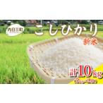 ふるさと納税 米 コシヒカリ 山口県 下関市 先行予約 令和7年度米 コシヒカリ 10kg (5kg×2箱) 山口県産 特別栽培エコ50 (化学農薬・肥料50%以上削減/精米…