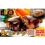 知多牛 響 ハンバーグ 3kg