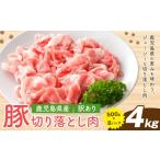 豚肉 訳あり 豚 切り落とし 500g×8P