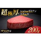 牛肉 ヒレ スピード発送 \超極厚 希少部位