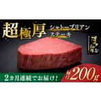 牛肉 ヒレ 全2回定期便 \超極厚 希少部位