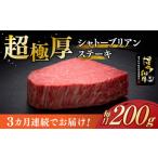 牛肉 ヒレ 全3回定期便 \超極厚 希少部位