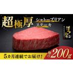牛肉 ヒレ 全5回定期便 博多和牛 シャトーブリアン