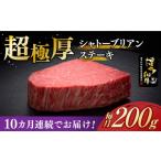 牛肉 ヒレ 全10回定期便 \超極厚 希少部位