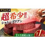 牛肉 ヒレ 全2回定期便 \超極厚 希少部位