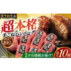 牛肉 ハンバーグ 全2回定期便 博多和牛100%