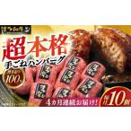 牛肉 ハンバーグ 全4回定期便 博多和牛100%